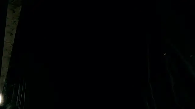 rosy petal online show from November 12, 2025, 3:23 pm