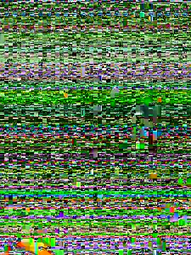 honey fern1 online show from September 18, 2025, 3:41 am