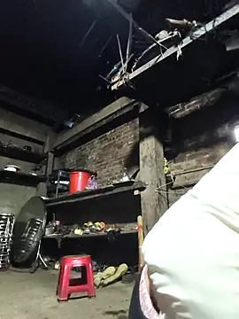 siki-00 online show from March 13, 2026, 12:28 am