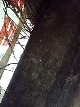 Snapshot of -Kitty-92 chatting on October 4, 2025, 1:03 am -Kitty-92 online show from October 4, 2025, 1:03 am