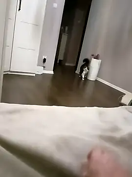 NiceBadgera online show from October 10, 2025, 6:40 pm