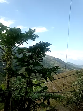 Snapshot of Suni2345 chatting on October 17, 2025, 2:37 am Suni2345 online show from October 17, 2025, 2:37 am