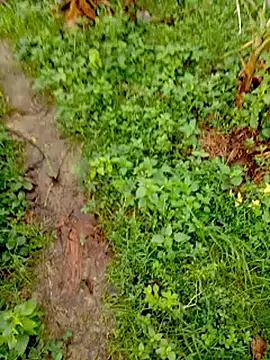 bigdaddyboy46 online show from September 12, 2025, 2:00 am