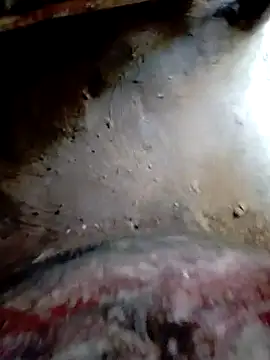 bigdaddyboy46 online show from October 20, 2025, 9:43 am