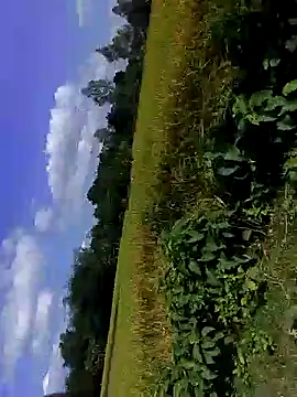 bigdaddyboy46 online show from November 5, 2025, 7:30 am