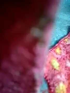 Snapshot of Sharmili_xx chatting on September 25, 2025, 8:23 pm Sharmili xx online show from September 25, 2025, 8:23 pm