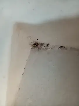 Snapshot of Punam_jindal chatting on October 7, 2025, 6:10 am Punam jindal online show from October 7, 2025, 6:10 am