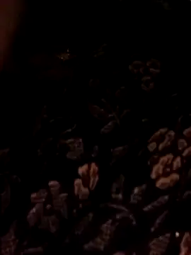 Bebby Doll online show from February 3, 2026, 7:46 am