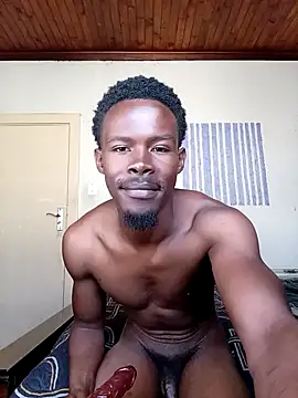 donchico0 online show from November 5, 2025, 7:41 am