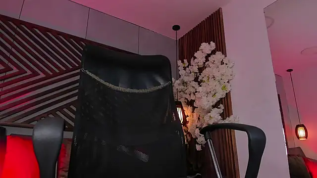 B Wild online show from December 17, 2025, 3:56 am