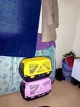 Snapshot of kittymutant99 chatting on December 22, 2025, 8:39 pm kittymutant99 online show from December 22, 2025, 8:39 pm