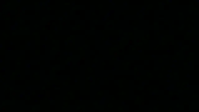 Pyrelissa online show from December 4, 2025, 6:34 am