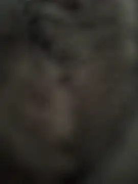 Immerhartundgeil online show from May 9, 2026, 6:18 am