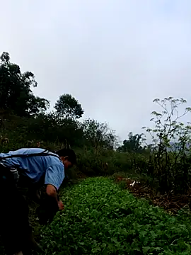 kemtuoi-sex online show from October 3, 2025, 1:13 am