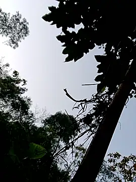 kemtuoi-sex online show from January 11, 2026, 11:54 pm