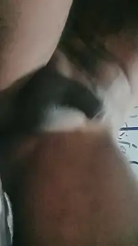 ElRompeponchi online show from September 28, 2025, 10:31 am