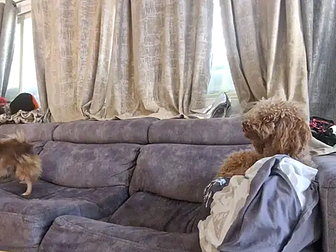 Alexis21821 online show from December 3, 2025, 7:05 am