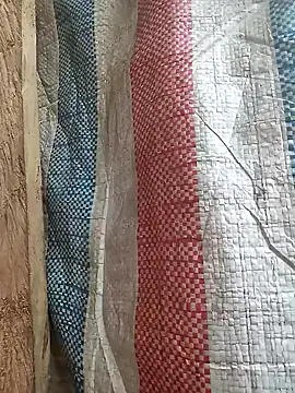 bonnie-00 online show from January 13, 2026, 2:28 am