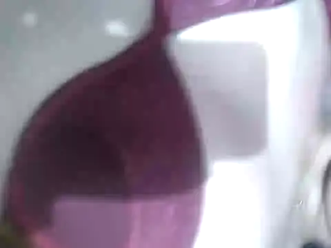 Cachorrinha2025 online show from September 21, 2025, 7:54 am