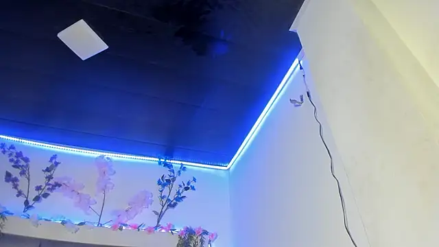 Snapshot of abbiecollins_js chatting on March 25, 2026, 4:51 am abbiecollins js online show from March 25, 2026, 4:51 am