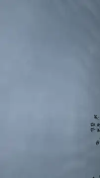 Snapshot of lulu5211 chatting on October 26, 2025, 9:37 am lulu5211 online show from October 26, 2025, 9:37 am