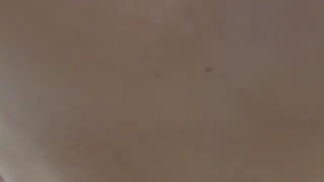 Snapshot of ZaneDawson chatting on September 23, 2025, 3:09 am ZaneDawson online show from September 23, 2025, 3:09 am