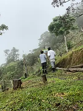 Snapshot of sky-wolves chatting on October 11, 2025, 3:43 pm sky-wolves online show from October 11, 2025, 3:43 pm