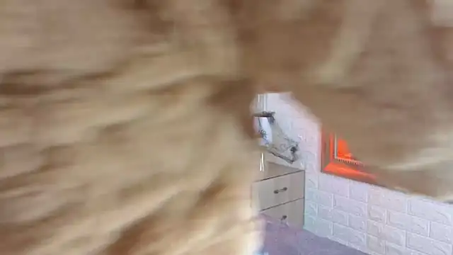 sofiagutierrez   online show from October 9, 2025, 3:04 am