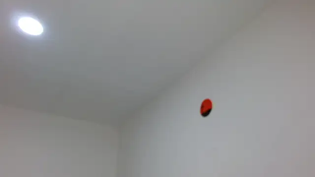 jaico santos online show from February 16, 2026, 11:12 pm