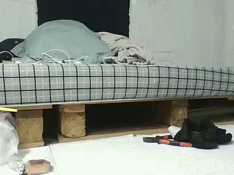 VN Smoking online show from December 3, 2025, 7:16 am