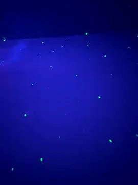 sweetttr online show from September 16, 2025, 8:32 pm