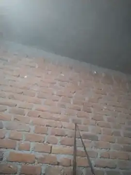 Hott cutgirl online show from December 15, 2025, 2:10 pm