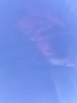 pussybebi online show from March 16, 2026, 6:12 pm