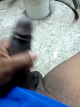 preto3561 online show from February 9, 2026, 1:37 pm