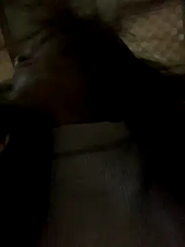 Halyy xx online show from November 8, 2025, 11:36 pm