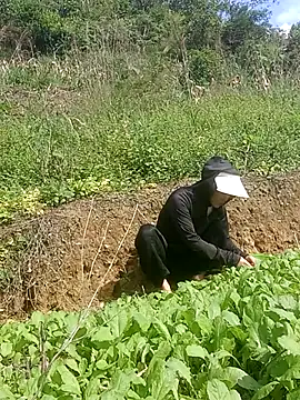 Snapshot of Norah-h chatting on October 30, 2025, 2:24 am Norah-h online show from October 30, 2025, 2:24 am