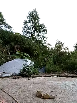 Snapshot of Suzuki_see chatting on October 11, 2025, 10:36 am Suzuki see online show from October 11, 2025, 10:36 am