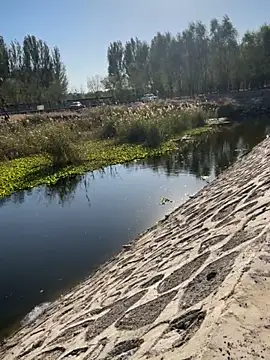 Snapshot of Tang-88 chatting on October 26, 2025, 6:52 am Tang-88 online show from October 26, 2025, 6:52 am