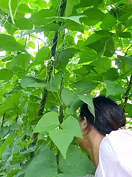 Snapshot of diamond-- chatting on October 5, 2025, 12:31 am diamond-- online show from October 5, 2025, 12:31 am