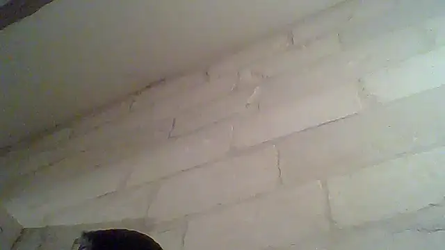 Ivaldimar online show from September 28, 2025, 7:52 pm