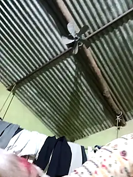 Haliya88 online show from February 26, 2026, 8:52 pm