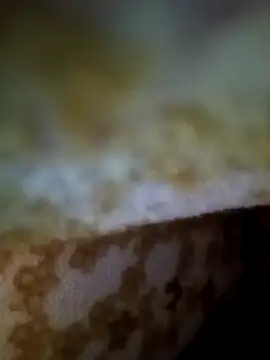 alone boy802 online show from November 9, 2025, 1:15 am