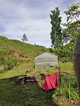 Snapshot of Helen-Tran chatting on October 24, 2025, 1:35 am Helen-Tran online show from October 24, 2025, 1:35 am