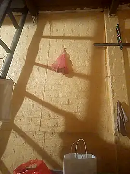 ruby-00 online show from September 24, 2025, 3:59 pm