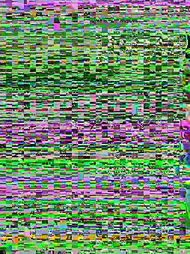 Snapshot of aoyo66 chatting on November 5, 2025, 12:16 pm aoyo66 online show from November 5, 2025, 12:16 pm