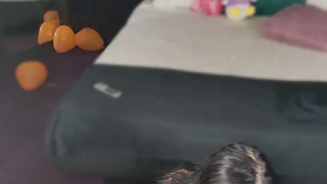 MeganSin  online show from November 6, 2025, 5:30 am