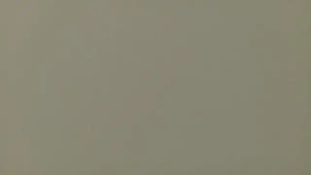 Nallah  online show from March 24, 2026, 1:27 pm