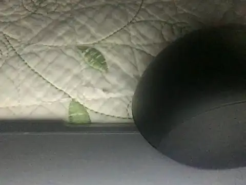 Snapshot of paula19800 chatting on October 3, 2025, 10:34 am paula19800 online show from October 3, 2025, 10:34 am