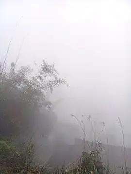 Mai lovely online show from March 9, 2026, 4:05 am