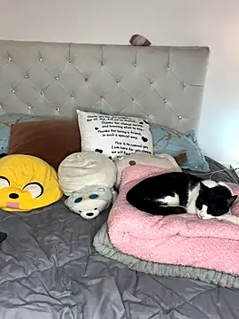 sunnymoonn 1 online show from October 2, 2025, 8:05 pm